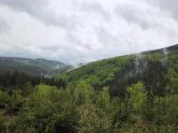 Wyjazd LSO i ich rodzin na Śnieżnik