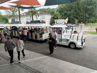 Pielgrzymka do Lourdes